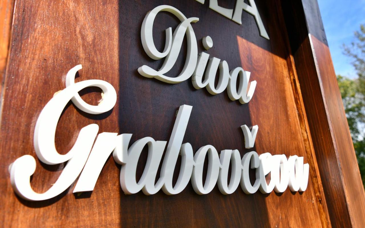 Villa Diva Grabovceva Rakovica Exterior foto